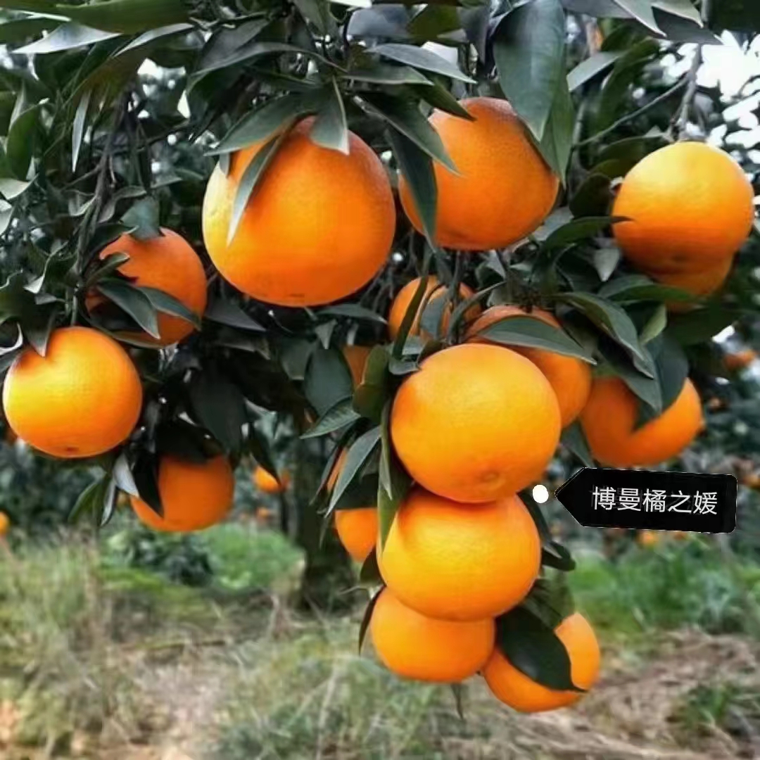 微信图片_20231228093158.jpg